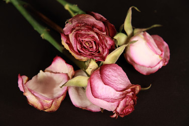 Similar image 134850