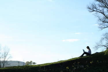 Similar image 134855