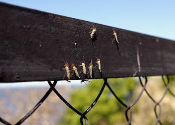 Similar image 134889