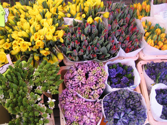 Similar image 134904