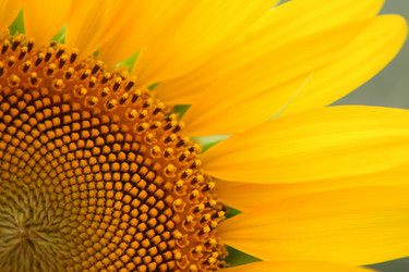 Similar image 134906