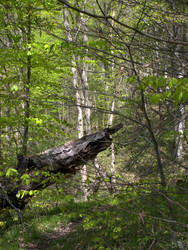 Similar image 134909