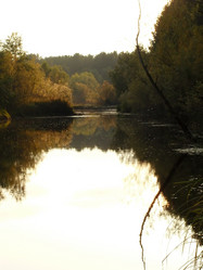 Similar image 134912