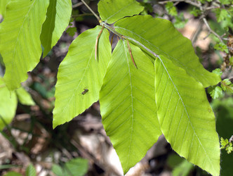 Similar image 134913