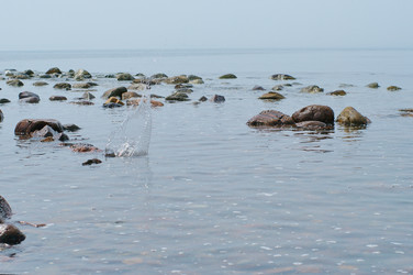 Similar image 134946