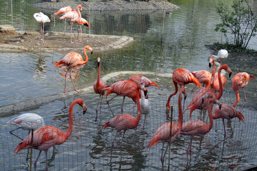 Similar image 134964