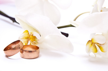 Similar image 134975