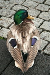 Similar image 134982