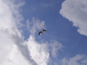 Similar image 134983