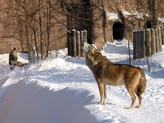 Similar image 135011