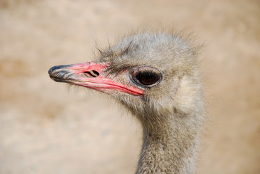 Similar image 135018