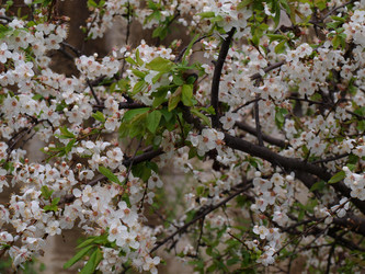 Similar image 135019