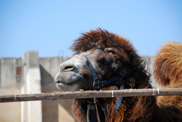 Similar image 135024