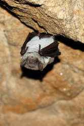 Similar image 135026