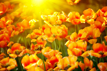 Similar image 135041