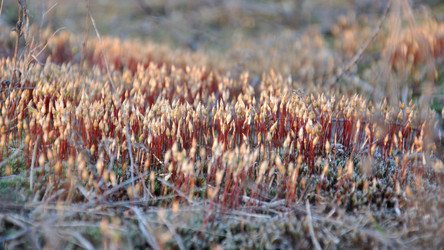 Similar image 135046