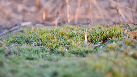 Similar image 135052