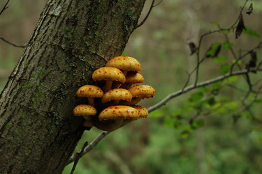 Similar image 135055