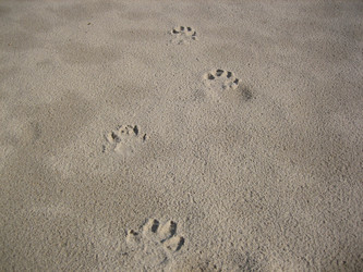 Similar image 135059