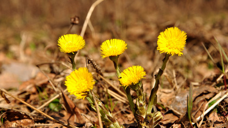 Similar image 135062