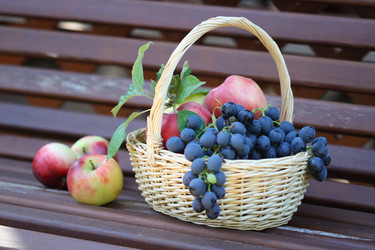 Similar image 135068