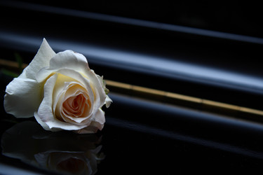 Similar image 135085