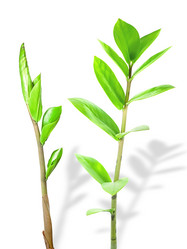 Similar image 135090