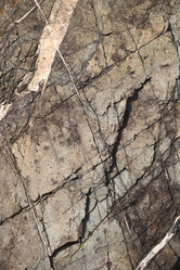 Similar image 135091