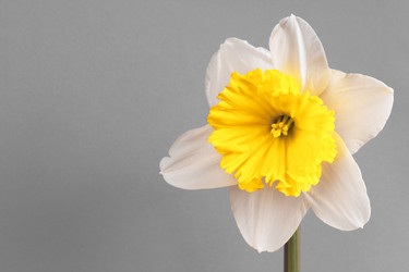 Similar image 135113