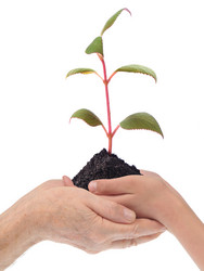 Similar image 135122