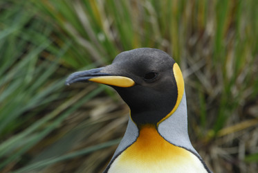 Similar image 135124