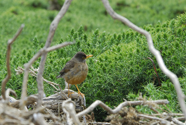 Similar image 135127