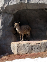 Similar image 135147