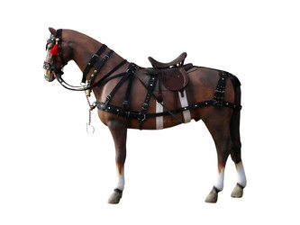 Similar image 135166