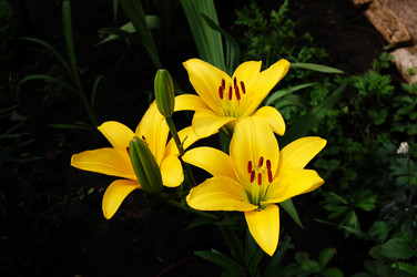 Similar image 135170