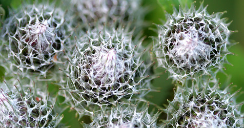 Similar image 135187