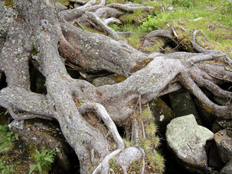 Similar image 135202