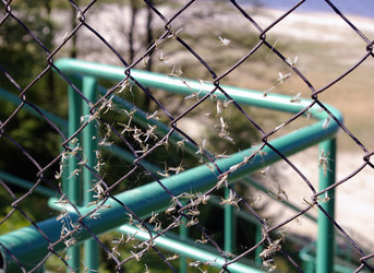 Similar image 135220