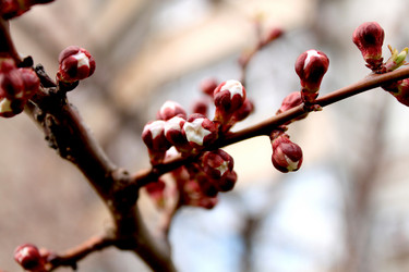 Similar image 135236