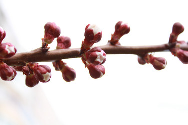 Similar image 135240