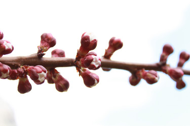 Similar image 135241