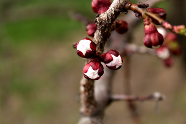 Similar image 135244