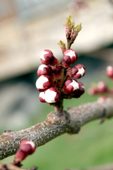 Similar image 135245