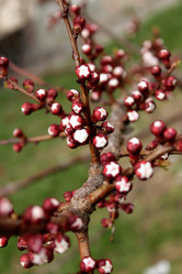 Similar image 135247