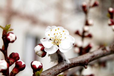 Similar image 135249