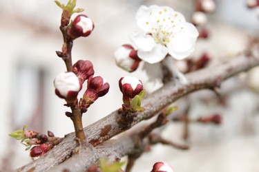 Similar image 135253