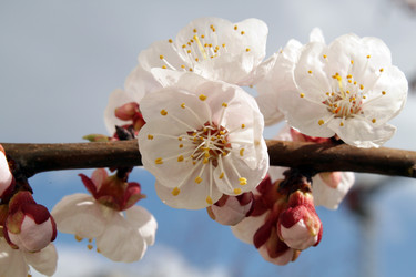 Similar image 135257