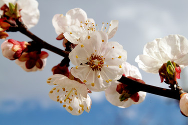 Similar image 135259