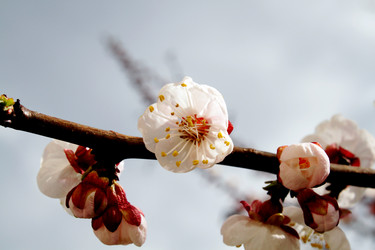 Similar image 135263