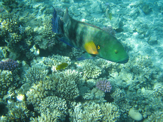 Similar image 135266